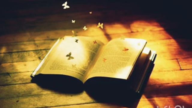 догорает и эта книга... но будут новые точно смотреть онлайн