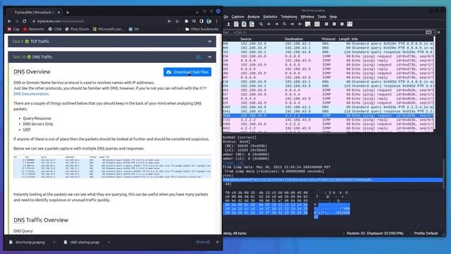 Wireshark 101 Walkthrough - TryHackMe