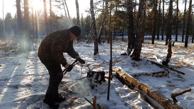 Зимний лес . смотреть онлайн