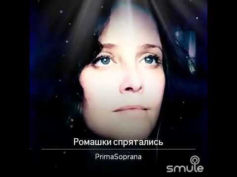 Ромашки спрятались