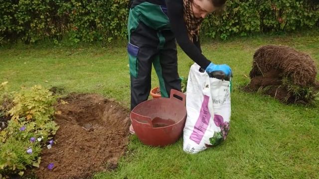 Як посадити азалію?? Фінляндія смотреть онлайн