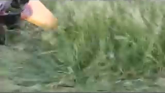 Сегментная косилка к мотоблоку .mp4 смотреть онлайн