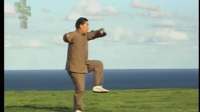 Grandmaster Chen Xiaowang / Грандмастер Чэнь Сяован смотреть онлайн