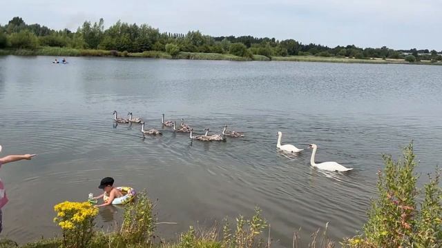 Где НЕ купаться рядом с Лидс Англия смотреть онлайн