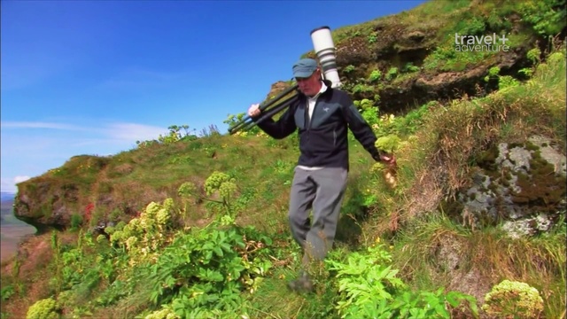 12 серия смотреть онлайн