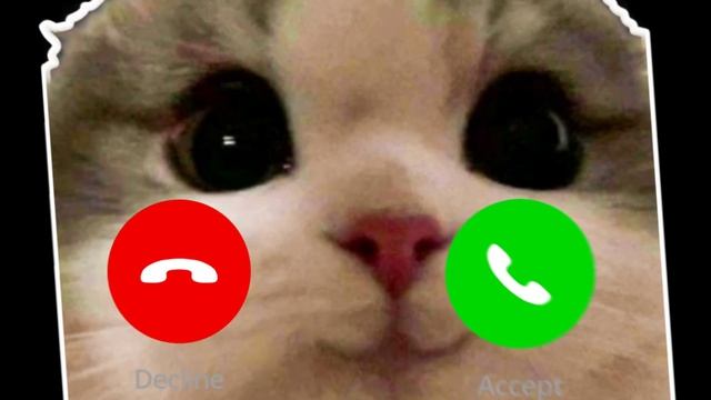 APPLE RINGTONE IPHONE PRO #cat #ringtone #iphone | EP.19 смотреть онлайн