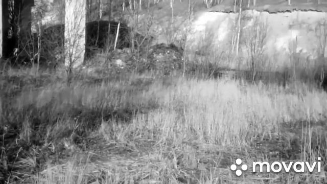 Кто-то ходит за окном смотреть онлайн