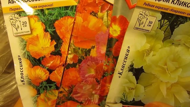 Прекрасная эшшольция - мак калифорнийский. смотреть онлайн