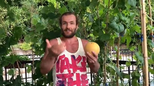 Огородное Праноедение / Опыт Фитнес Натурала смотреть онлайн