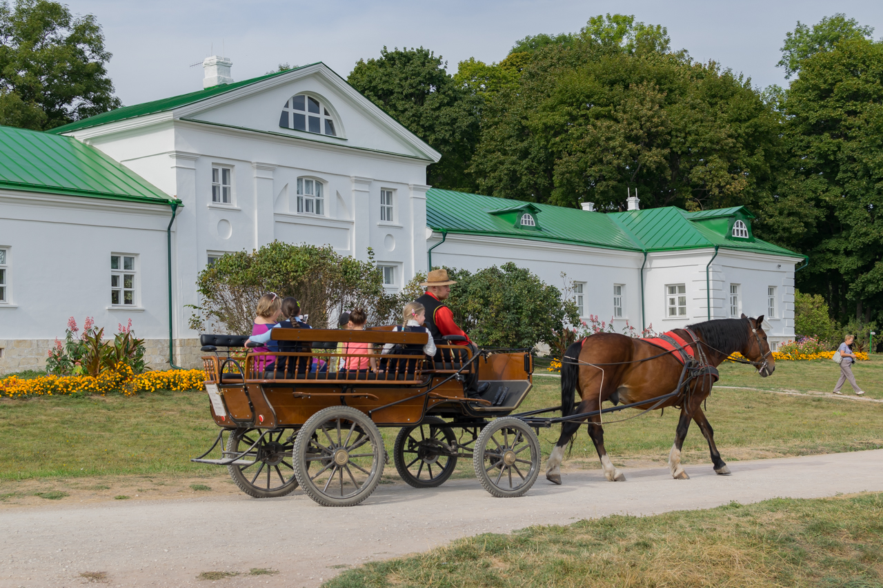 Волонтеры Ясной поляна смотреть онлайн