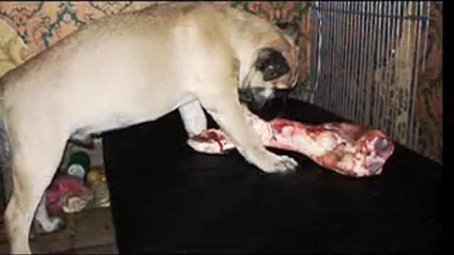 Ваня смотреть онлайн