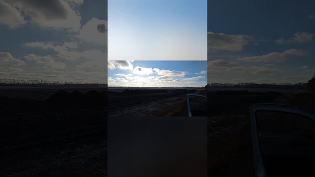 Закончили копку сахарной свёклы...