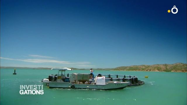 Investigations - Expedition Ocean Indien 2-2 Juin 2019 France O Nvgt