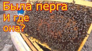 ШЕСТИРАМОЧНИКИ! РЕВИЗИЯ и СТИМУЛЯЦИЯ Не всё так плохо!!!