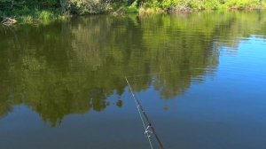 ПЕРВАЯ РЫБАЛКА НА RIVER DANCE до 46 грамм. открытие водо-моторки. Рыбалка с лодки на спиннинг.
