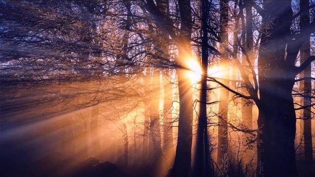 Музыка Для Медитации | Музыка Для Сна | Эмбиентная Музыка #piano music,#ambient,#calm music смотреть онлайн