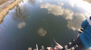 Донецкая рыбалка.Кальмиус.Нашли сети!