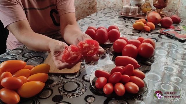 Дегустация томатов. Первоклашка. Джек Пот. Русские колокола. Видимо-невидимо.