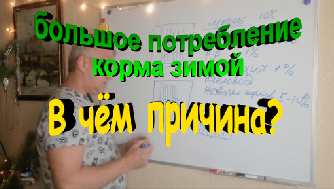 Большое потребление корма пчелами зимой. В чем причина. смотреть онлайн