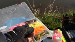 Ловля форели на силикон. Как поймать форель. Trout Area Forellenangeln. Angelpark Caster