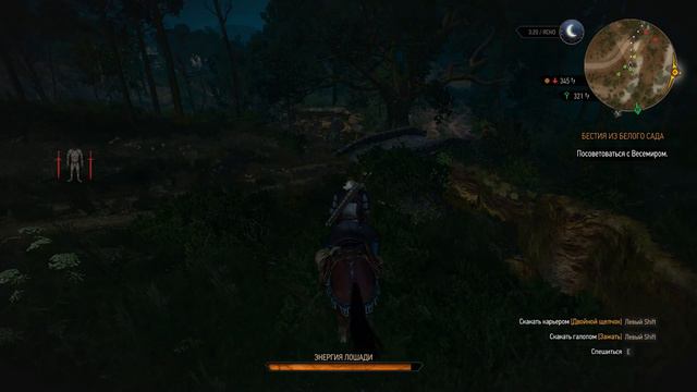 #8 Witcher 3 Wild Hunt - Совет весемира смотреть онлайн