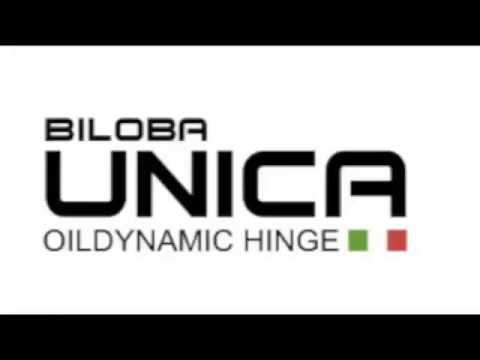Презентация Minusco Biloba Unica http://unica.glassfurnitura.ru/ смотреть онлайн