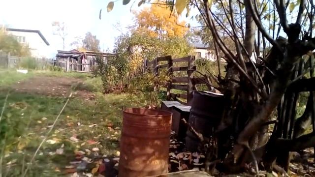 КАЛИНА,УБИРАЮ ЛИСТЬЯ,ГРАБЛИ,КАЦЕВИЧ БОРИС,ОДИНОКИЙ БЕЛЫЙ,ALONE WHITE