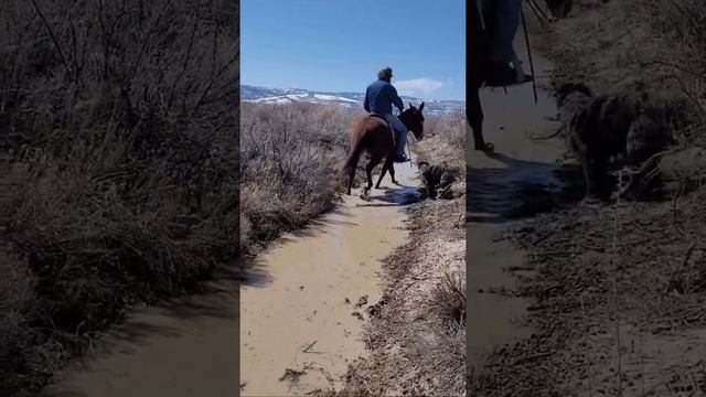 Huckleberry and the Ditch. смотреть онлайн