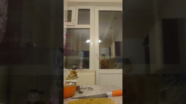 Бытовая техника: умные помощники