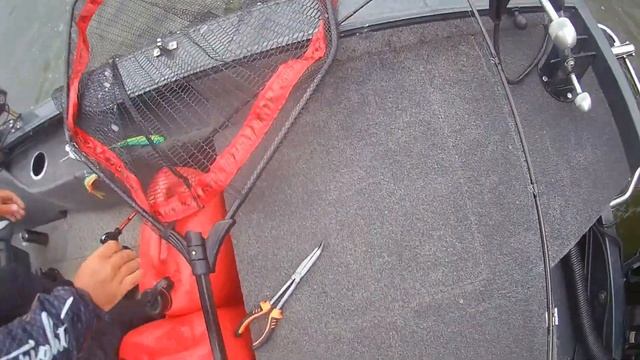 PAL 2023 1 Этап. Как это было смотреть онлайн