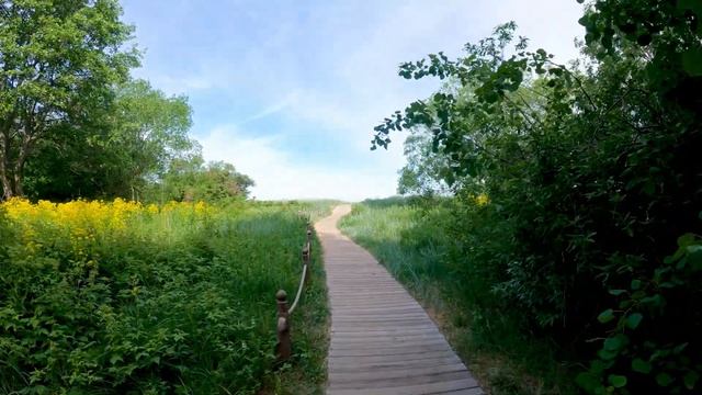 Заказник Западный Котлин. Форт Шанц [4k] ,West Kotlin Nature Reserve. Fort Schantz смотреть онлайн