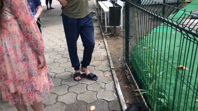 Парус #анапа #витязево 26 июня 2022. #отдых #море #пляж #пляжианапы смотреть онлайн