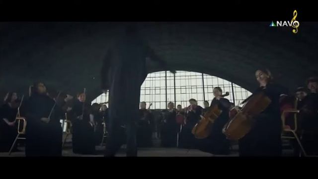 Белые тюльпаны/ Simfonik Orkestr - Oq Lolalar / Оқ лолалар -Симфоник оркестр ижросида смотреть онлайн