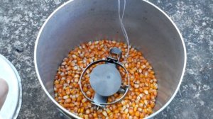 Как поймать крысу,сделать крысоловку своими руками.