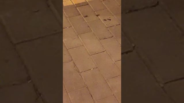 из паука выползают паучки смотреть онлайн