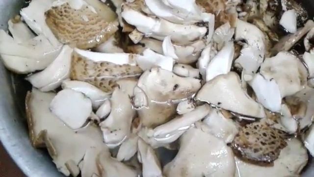 Солю трутовики лускаті смотреть онлайн