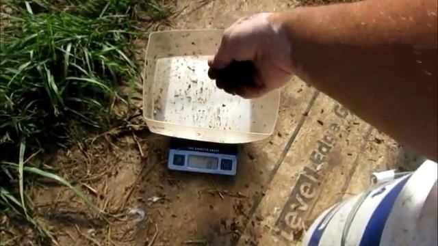 How to harvest and count small to medium Black soldier fly larvae for resale смотреть онлайн