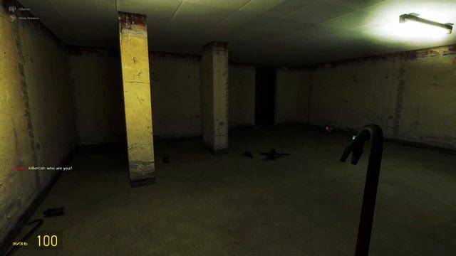 The strange virus in gmod (maybe this is bsmod mod) смотреть онлайн