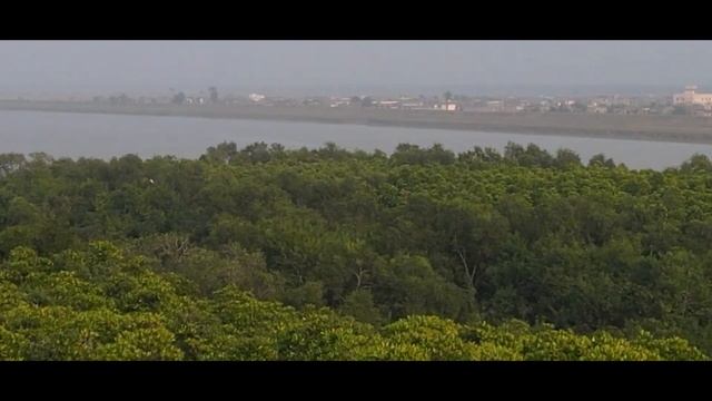 Pride of Odisha - Bhitarkanika National Park - My Encounter with a huge Salt Water Crocodile смотреть онлайн