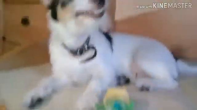 Как я потерялся в Новый год😳😳😳 смотреть онлайн