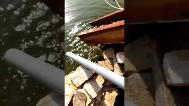 Каскадный аэратор для маленького пруда смотреть онлайн