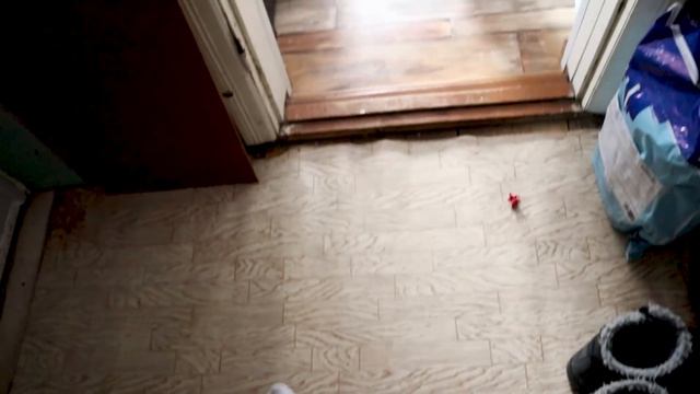 БИЗНЕС НА СЕЛЕ: Холодильник за 200 тыс и сепаратор за 50 тыс смотреть онлайн