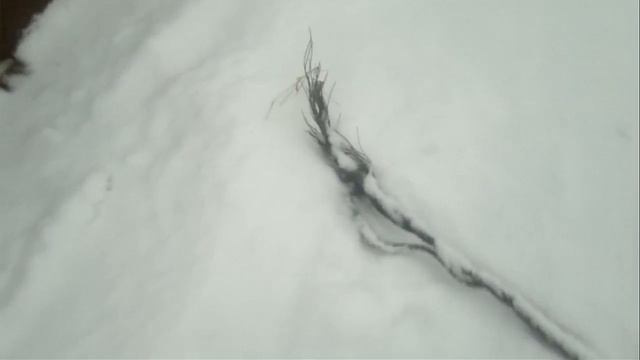 Установка пантонного моста,река Кожва смотреть онлайн