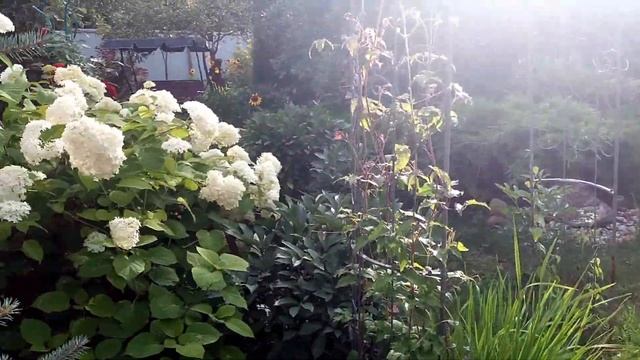 ДАЧА. Пруд преобразился! Внуки на даче! Сюрпризы выходного дня... смотреть онлайн