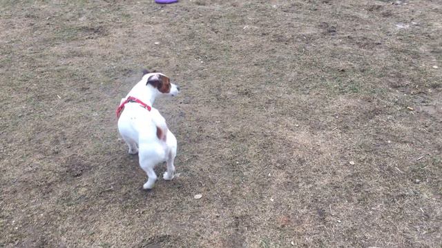 20 апреля 2021 г.