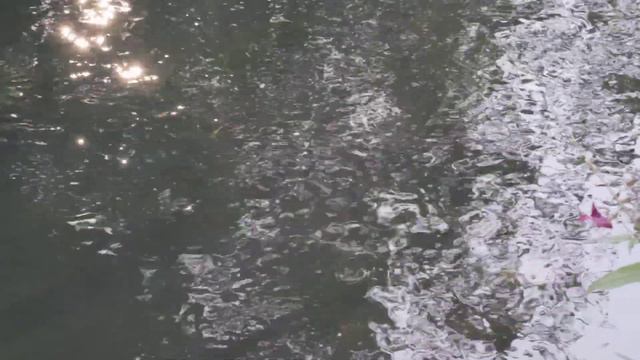 Немножко Солнца в мутной воде. смотреть онлайн