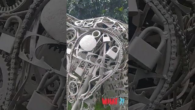 Что это? #карендаллакян #animal #funny #shorts #tanzania смотреть онлайн