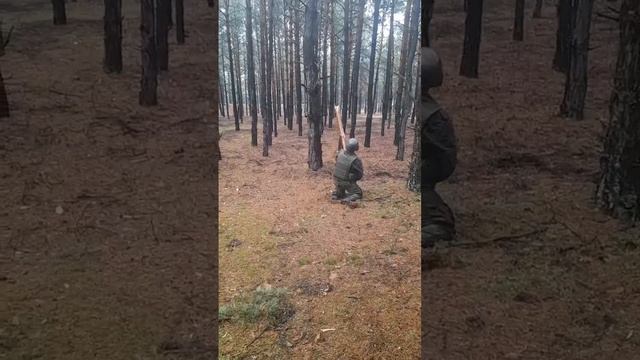 Разминирование противопехотных мин армейским способом при помощи высокотехнологичного бревна смотреть онлайн