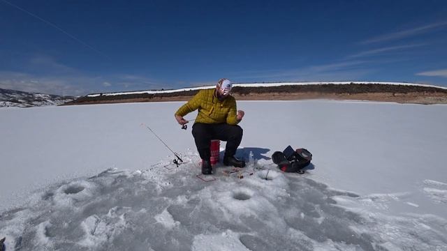 Рыбалка в США. Бешшшеный клев форели Lake Trout смотреть онлайн