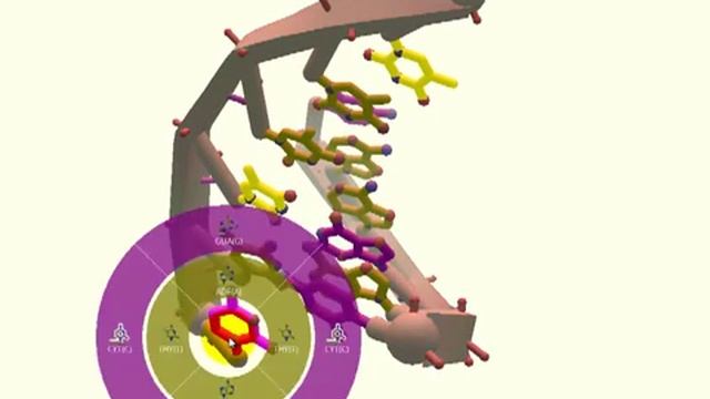 Foldit Game Tutorial - Level 7-3 DNA Pairing.mp4 смотреть онлайн